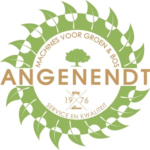 Angenendt